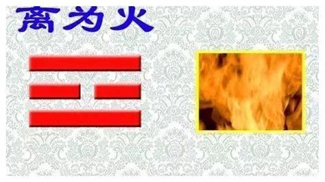 离卦代表什么